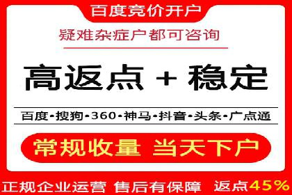 百度竞价公司成功案例揭秘：如何快速提升品牌曝光度